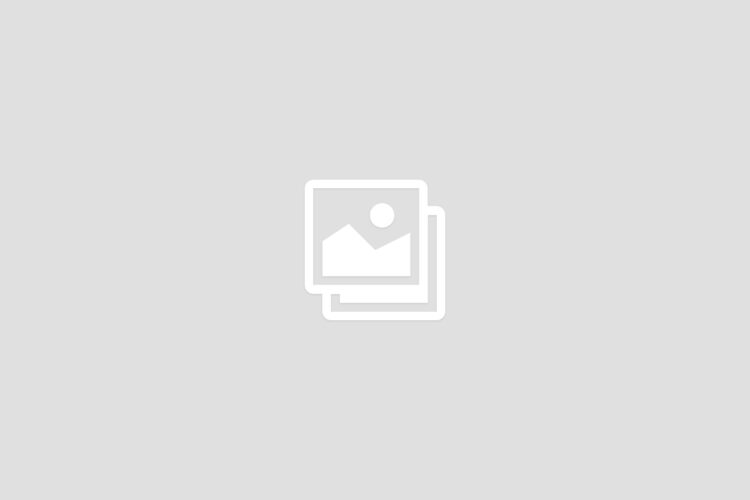 dentalia-placeholder-img-4